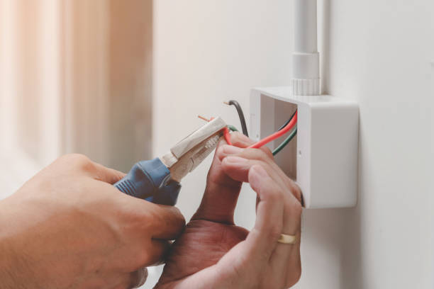 Best Electrical Panel Upgrades  in Omaha, NE